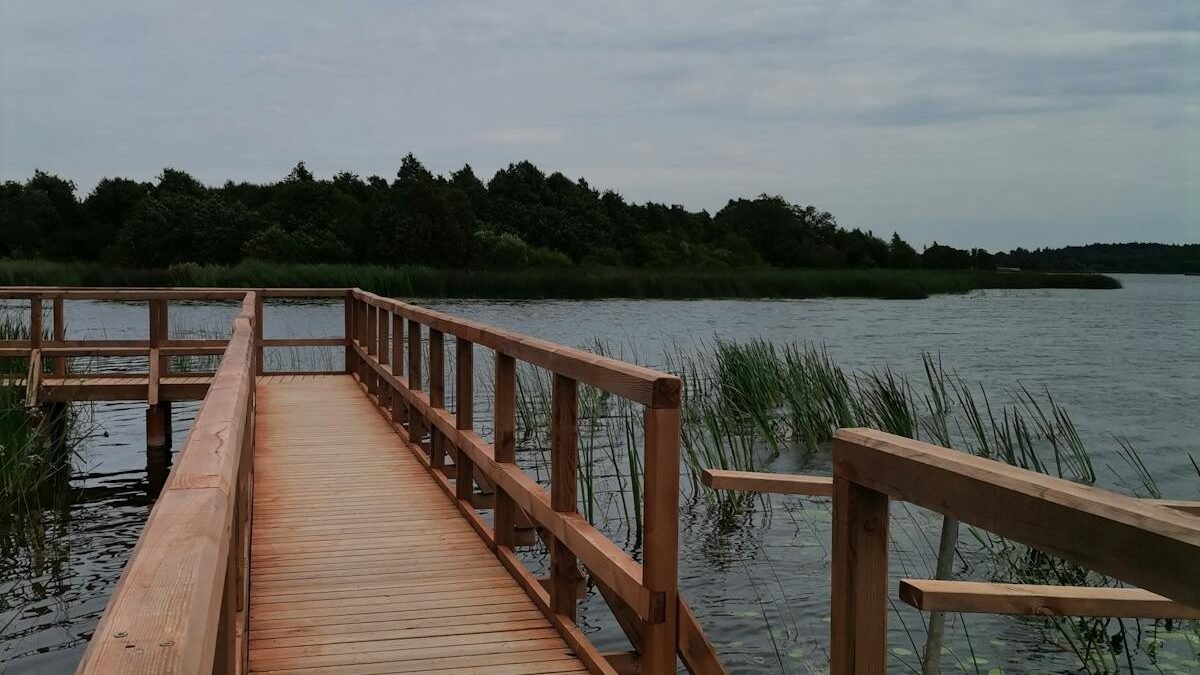 Ramus medinis takas virš ramaus ežero su vešlia žaluma Lietuvoje